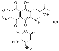 Clorhidrato de idarubicina