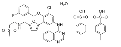 Monohidrato de ditosilato de lapatinib